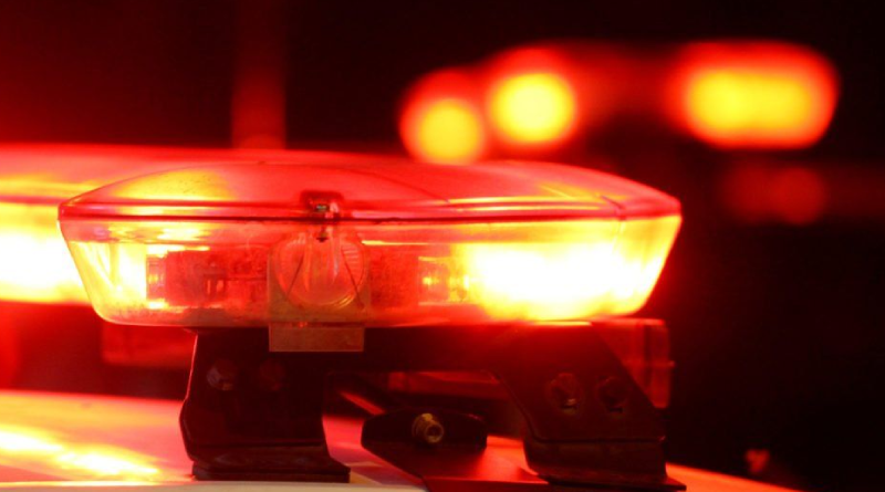 Novo Projeto - 2025-11-18T125711.227