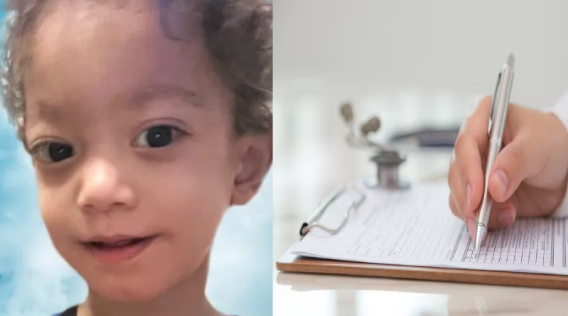 Novo Projeto - 2025-11-18T142656.120