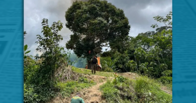 Novo Projeto - 2025-11-18T161349.910