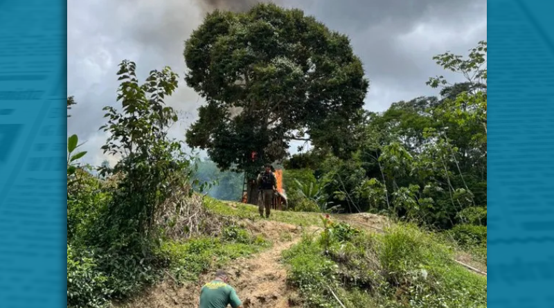 Novo Projeto - 2025-11-18T161349.910