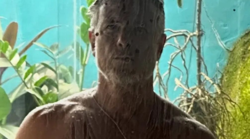 Novo Projeto - 2025-11-19T100117.464