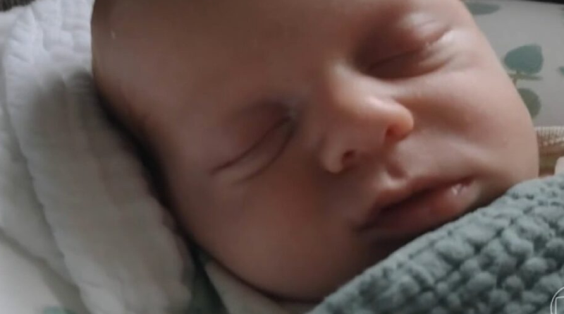 Novo Projeto - 2025-11-19T160839.597