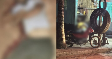 Novo Projeto - 2025-11-21T074508.770