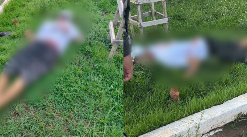 Novo Projeto - 2025-11-22T155209.849