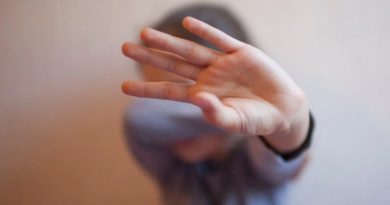 Novo Projeto - 2025-11-24T094729.819