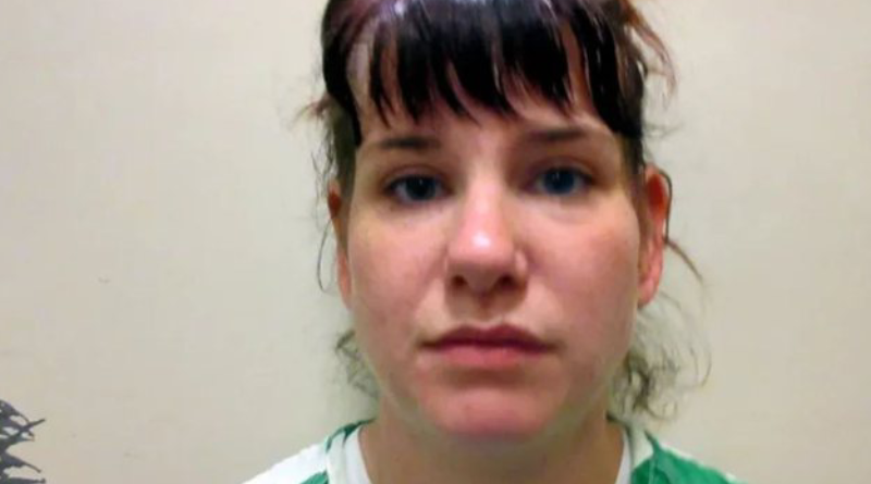 Novo Projeto - 2025-11-24T155827.479