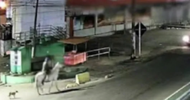 Novo Projeto - 2025-11-25T090332.459