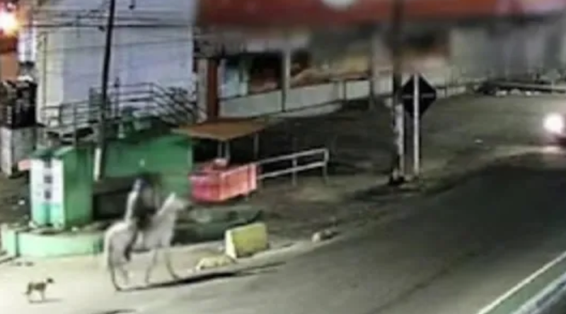 Novo Projeto - 2025-11-25T090332.459