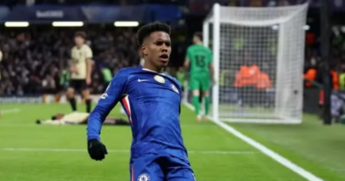 Novo Projeto - 2025-11-26T090901.972