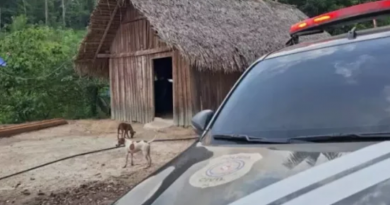 Novo Projeto - 2025-11-26T122752.598