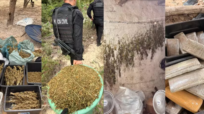 Novo Projeto - 2025-11-26T142120.465