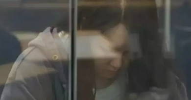 Novo Projeto - 2025-11-26T165527.609