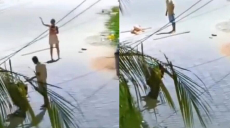 Novo Projeto - 2025-11-27T102436.651