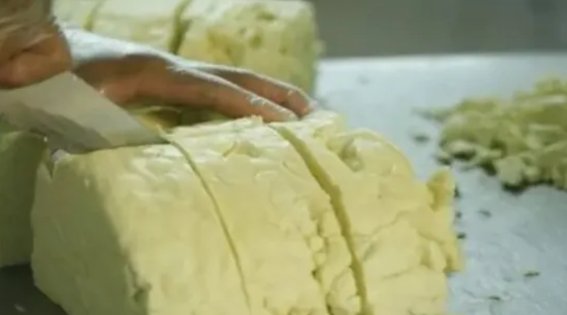 Novo Projeto - 2025-11-27T124655.842