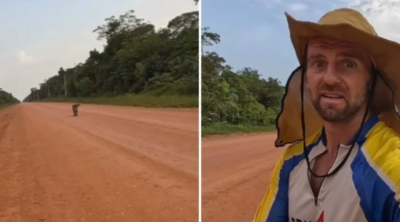 Novo Projeto - 2025-11-30T073402.540