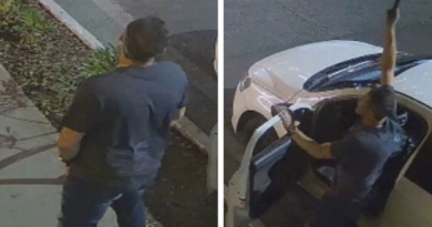 Novo Projeto - 2025-11-30T074153.349