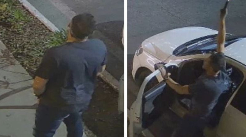 Novo Projeto - 2025-11-30T074153.349