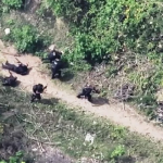 VÍDEOS inéditos mostram policiais tentando salvar colegas feridos nos morros do Alemão e da Penha; no RJ