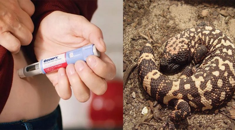 questao-do-enem-com-lagarto-do-ozempic-viraliza_00928381_0_