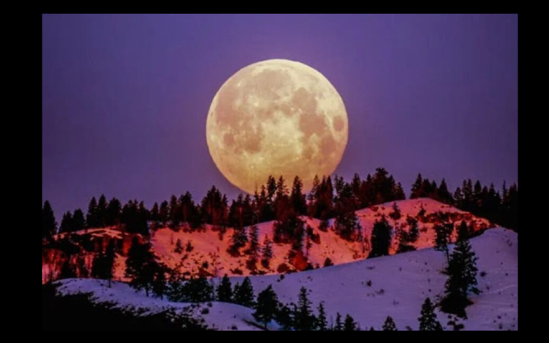 Foto: Reprodução/ Pexels