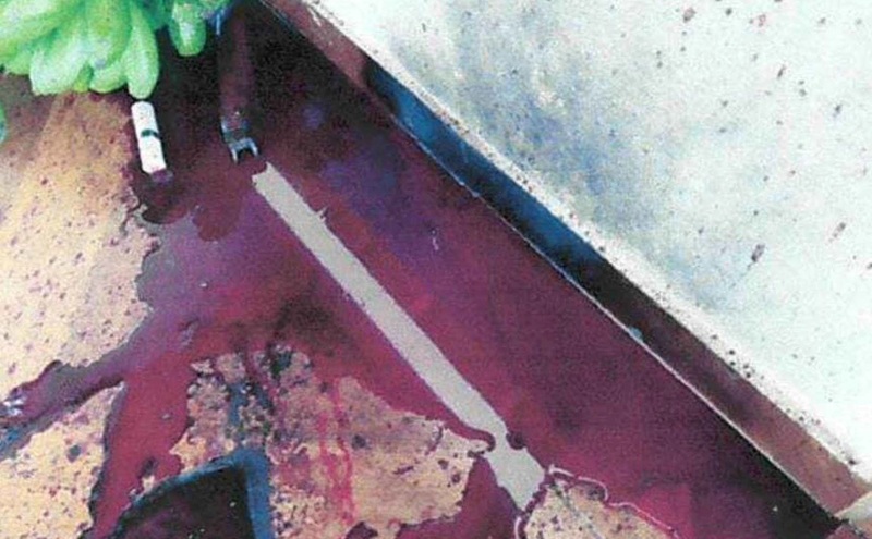 whatsapp-image-2025-11-24-at-09-36-07-61258783