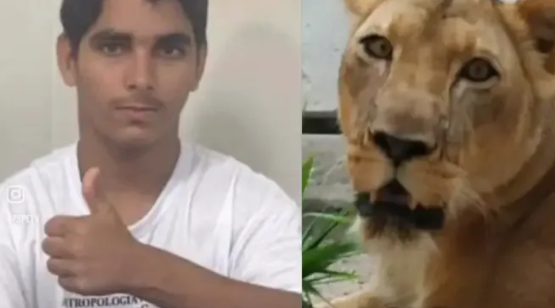 Novo Projeto - 2025-12-01T144732.724