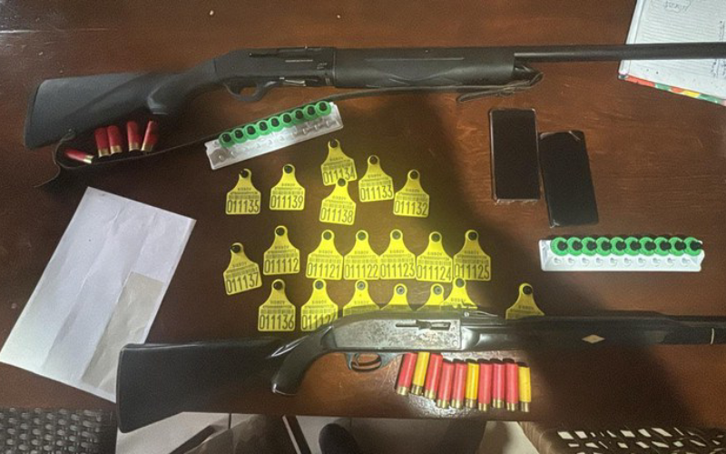 Foto: Reprodução/PF