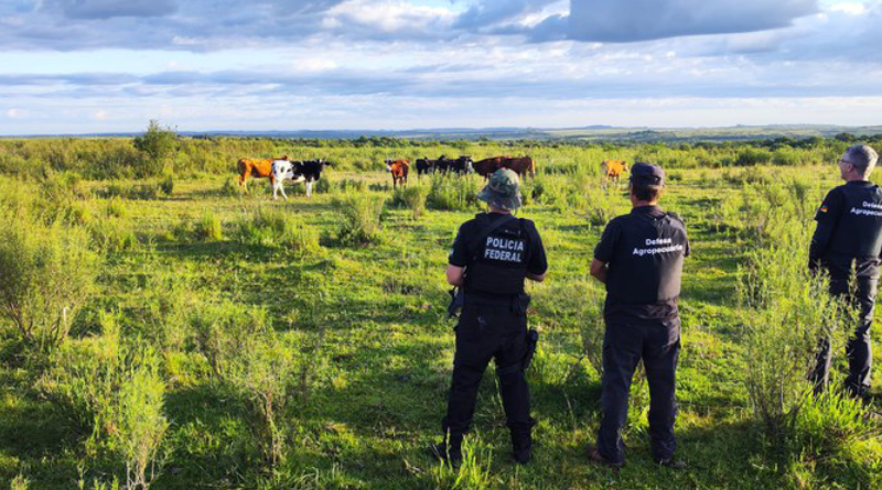 Novo Projeto - 2025-12-03T145618.604