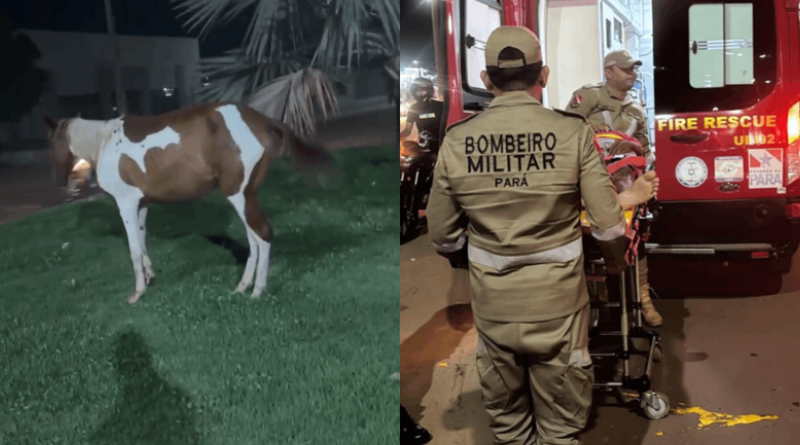 Novo Projeto - 2025-12-03T165745.386