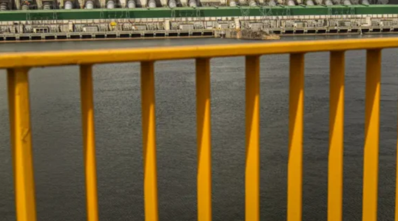 Novo Projeto - 2025-12-03T171549.944