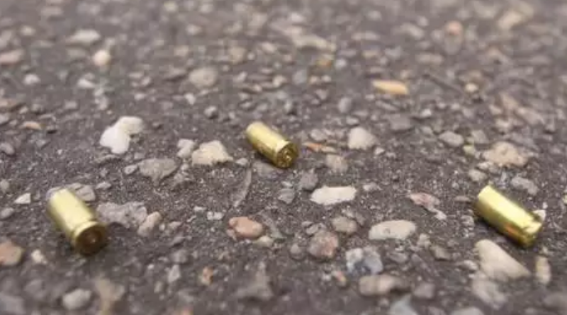 Novo Projeto - 2025-12-03T172421.301